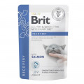 Влажный корм Brit GF VetDiet Recovery для кошек, с лососем, 85 г