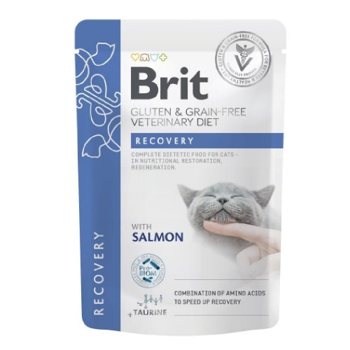 Влажный корм Brit GF VetDiet Recovery для кошек, с лососем, 85 г