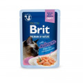 Влажный корм Brit Premium Delicate Fillets in Gravy Salmon Sterilised для стерилизованных кошек, филе в соусе, лосось, 85 г