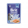 Влажный корм Brit Premium Delicate Fillets in Jelly Salmon для взрослых кошек, филе в желе, лосось, 85 г