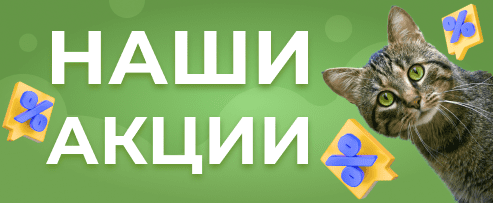 Наши акции