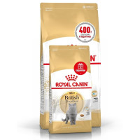 Сухий корм Royal Canin British Shorthair Adult для британських короткошерстих кішок, 2 кг + 400 г у подарунок Сухий корм Royal Canin British Shorthair Adult для британських короткошерстих кішок, 2 кг + 400 г у подарунок