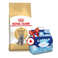 Сухой корм Royal Canin British Adult для британских короткошерстных кошек, 4 кг + наполнитель Catsan 5 л в подарок Сухой корм Royal Canin British Adult для британских короткошерстных кошек, 4 кг + наполнитель Catsan 5 л в подарок