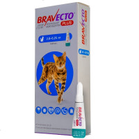 Противопаразитарные капли Bravecto Plus Cat Spot-On для кошек весом 2.8-6.25 кг, 250 мг Противопаразитарные капли Bravecto Plus Cat Spot-On для кошек весом 2.8-6.25 кг, 250 мг