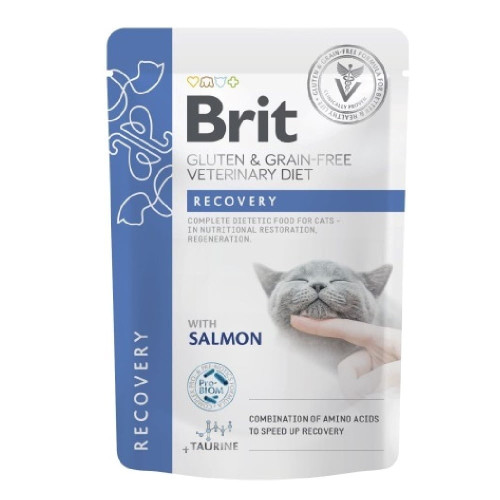 Вологий корм Brit GF VetDiet Recovery для котів, з лососем, 85 г