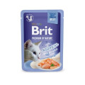 Влажный корм Brit Premium Delicate Fillets in Jelly Salmon для взрослых кошек, филе в желе, лосось, 85 г