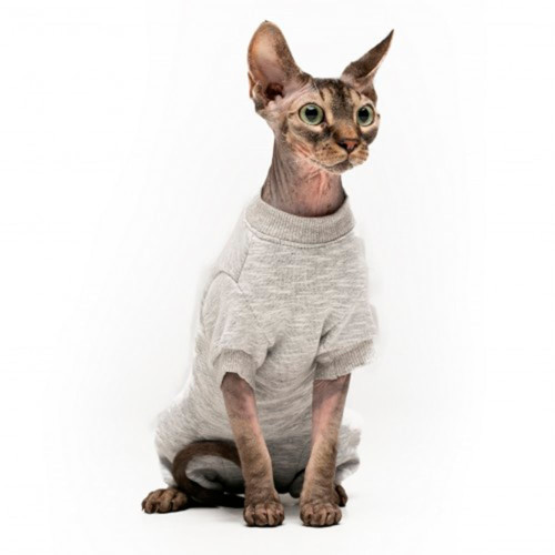 Боди Style Pets Steya для кошек, цвет серый, размер XL-