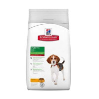 Сухой корм Hill's Science Plan Canine Healthy Development для щенков средних пород, с курицей, 3 кг