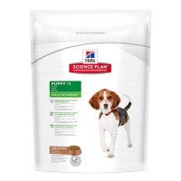 Сухой корм Hill's Science Plan Canine Healthy Development для щенков средних пород, с ягненком и рисом, 1 кг Сухой корм Hill's Science Plan Canine Healthy Development для щенков средних пород, с ягненком и рисом, 1 кг