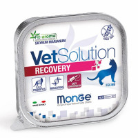 Вологий корм Monge VetSolution Recovery feline для котів, для відновлення харчування під час одужання, 100 г Вологий корм Monge VetSolution Recovery feline для котів, для відновлення харчування під час одужання, 100 г