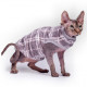 Кофта без рукавов Style Pets GUCH для кошек, в клетку, размер M-