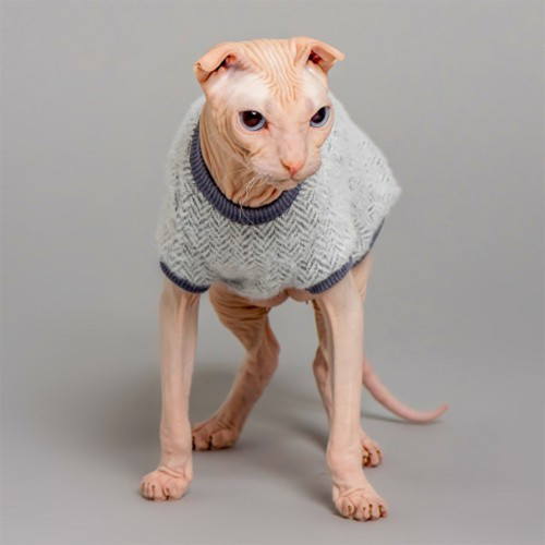 Майка Style Pets Елка для кошек, цвет серый, L- Майка Style Pets Елка для кошек, цвет серый, L-