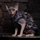Майка Style Pets Сamo blue для котів, розмір L+