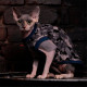 Майка Style Pets Сamo blue для котів, розмір XL-