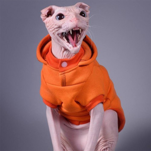 Кофта з рукавами Style Pets Squash для котів, розмір L+ Кофта з рукавами Style Pets Squash для котів, розмір L+