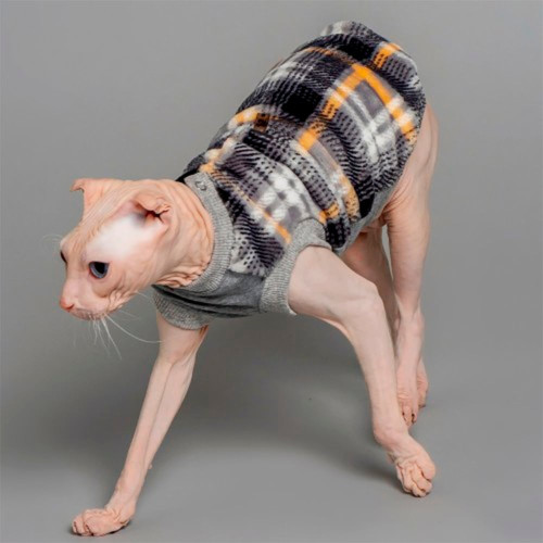 Кофта Style Pets Swidex для котів, принт, розмір L+ Кофта Style Pets Swidex для котів, принт, розмір L+