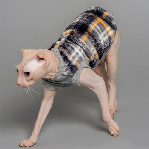 Кофта Style Pets Swidex для котів, принт, розмір M Кофта Style Pets Swidex для котів, принт, розмір M