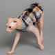 Кофта Style Pets Swidex для котів, принт, розмір XL+