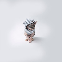 Майка Style Pets GUMMI для кошек, с ушками, размер L- Майка Style Pets GUMMI для кошек, с ушками, размер L-