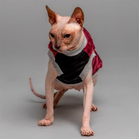 Майка Style Pets FaceSPM для кошек, цвет марсала, размер L- Майка Style Pets FaceSPM для кошек, цвет марсала, размер L-
