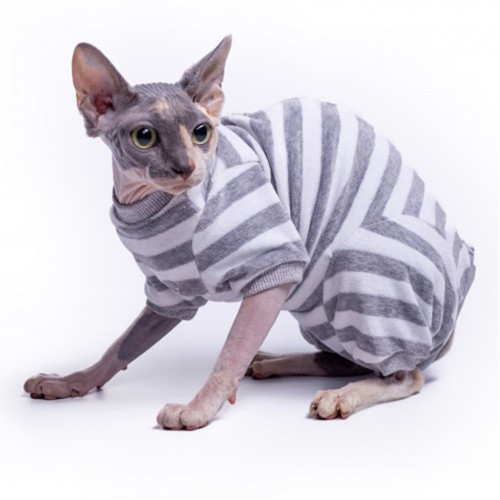 Велюровый боди Style Pets SP Sprinter для кошек, размер M