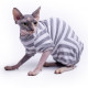 Велюровий боді Style Pets SP Sprinter для котів, розмір L+