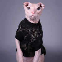 Кофта Style Pets Emerald для котів, принт, розмір XXS Кофта Style Pets Emerald для котів, принт, розмір XXS