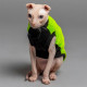 Майка Style Pets FaceSPS для кошек, цвет зеленый, размер M
