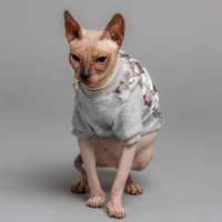 Кофта Style Pets Angry Birds для котів, колір сірий, розмір M- Кофта Style Pets Angry Birds для котів, колір сірий, розмір M-