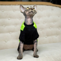 Кофта Style Pets FaceSPS для котів, колір зелений, розмір M