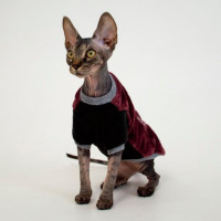 Кофта Style Pets FaceSPM для кошек, цвет марсала, размер XXS Кофта Style Pets FaceSPM для кошек, цвет марсала, размер XXS