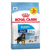 Сухой корм Royal Canin Maxi Puppy для щенков крупных пород с 2 до 15 месяцев, 12 кг + 3 кг в подарок Сухой корм Royal Canin Maxi Puppy для щенков крупных пород с 2 до 15 месяцев, 12 кг + 3 кг в подарок