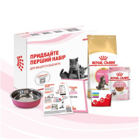 Стартовий набір Royal Canin Kitten Mainecoon для кошенят мейнкуна, миска, мірний стаканчик, щоденник, сухий та вологий корм, 400 г + 85 г Стартовий набір Royal Canin Kitten Mainecoon для кошенят мейнкуна, миска, мірний стаканчик, щоденник, сухий та вологий корм, 400 г + 85 г