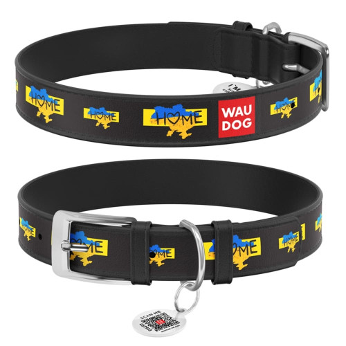 Нашийник шкіряний Waudog Design з QR паспортом для собак, малюнок 