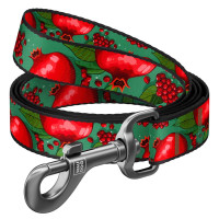 Поводок Waudog Nylon для собак, рисунок Поводок Waudog Nylon для собак, рисунок