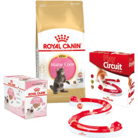 Набор сухого корма Royal Canin Maine Coon Kitten 2 кг + влажный корм 12 шт по 85 г + игровой трек в подарок Набор сухого корма Royal Canin Maine Coon Kitten 2 кг + влажный корм 12 шт по 85 г + игровой трек в подарок