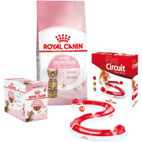 Набор сухого корма Royal Canin Kitten Sterilised 2 кг + влажный корм 12 шт по 85 г + игровой трек в подарок Набор сухого корма Royal Canin Kitten Sterilised 2 кг + влажный корм 12 шт по 85 г + игровой трек в подарок