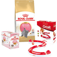 Набір сухий корм Royal Canin Kitten British Shorthair 2 кг + вологий корм 12 шт по 85 г + ігровий трек у подарунок Набір сухий корм Royal Canin Kitten British Shorthair 2 кг + вологий корм 12 шт по 85 г + ігровий трек у подарунок