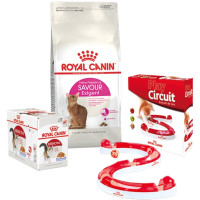 Набір сухий корм Royal Canin Savour Exigent 2 кг + вологий корм 12 шт по 85 г + ігровий трек у подарунок Набір сухий корм Royal Canin Savour Exigent 2 кг + вологий корм 12 шт по 85 г + ігровий трек у подарунок