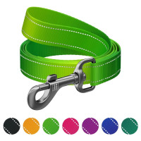 Поводок WAUDOG Nylon Mono для собак, светоотражающий, салатовый, M, 2 см, 2 м