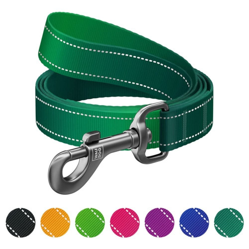Поводок WAUDOG Nylon Mono для собак, светоотражающий, зеленый, S, 1.5 см, 1.22 м