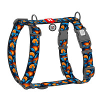 Шлея WAUDOG Nylon для собак, анатомическая, H-образная, с QR паспортом, рисунок Шлея WAUDOG Nylon для собак, анатомическая, H-образная, с QR паспортом, рисунок