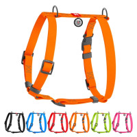 Шлейка WAUDOG Waterproof для собак, водостойкая, анатомическая, H-образная, с QR паспортом, пластиковая пряжка-фастекс, оранжевый, L, 2.5 см, 50-85 см, 60-100 см Шлейка WAUDOG Waterproof для собак, водостойкая, анатомическая, H-образная, с QR паспортом, пластиковая пряжка-фастекс, оранжевый, L, 2.5 см, 50-85 см, 60-100 см