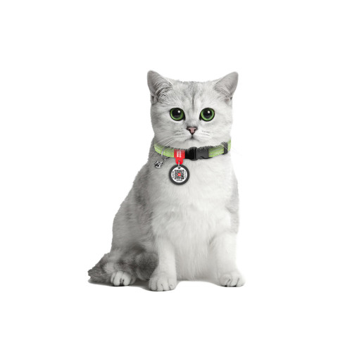 Нашийник Waudog Re-cotton з QR паспортом для котів, світловідбиваючий, пластиковий фастекс, XS, ш 10 мм, д 20-30 см, салатовий