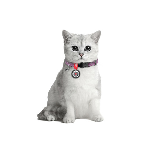 Ошейник Waudog Re-cotton с QR паспортом для кошек, светоотражающий, пластиковый фастекс, XS, ш 10 мм, д 20-30 см, фиолетовый
