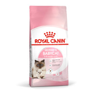 Сухой корм Royal Canin Mother and Babycat для кормящих кошек, 2 кг Сухой корм Royal Canin Mother and Babycat для кормящих кошек, 2 кг