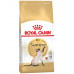 Сухой корм Royal Canin Siamese Adult для сиамской кошки, 400 г