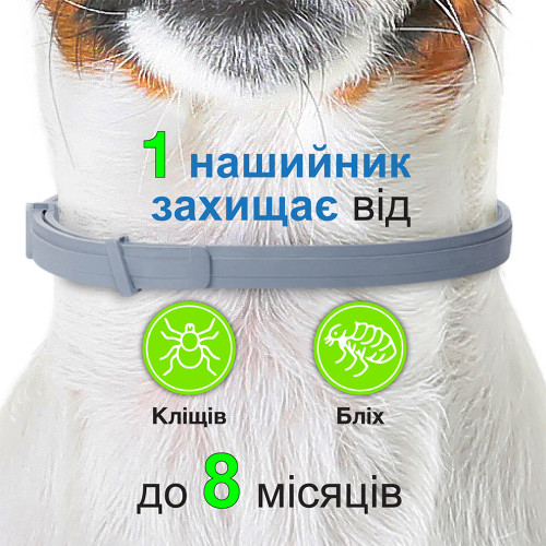 Нашийник Elanco (Bayer) Foresto проти бліх та кліщів для котів і собак, 38 см