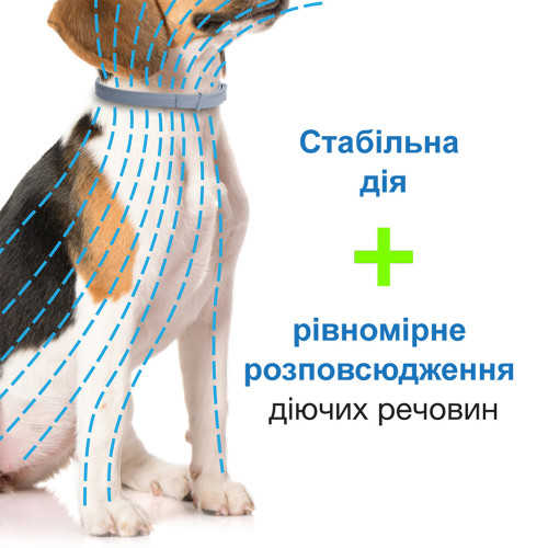 Нашийник Elanco (Bayer) Foresto проти бліх та кліщів для котів і собак, 38 см
