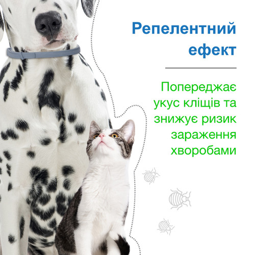 Нашийник Elanco (Bayer) Foresto проти бліх та кліщів для котів і собак, 38 см